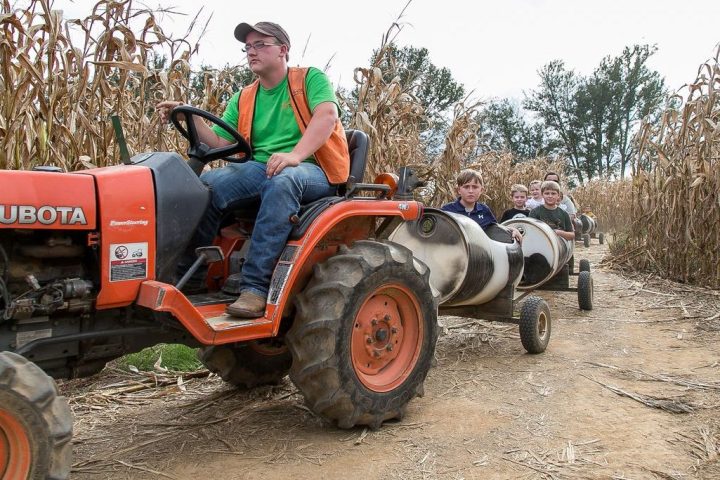 a tractor on a dirt road