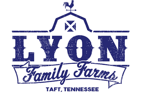 logo, company name