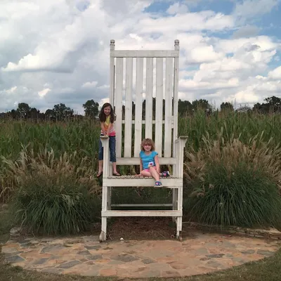insta3_original a bench in a park