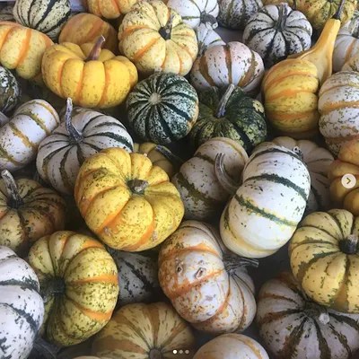 insta5_original a close up of many different types of fruit