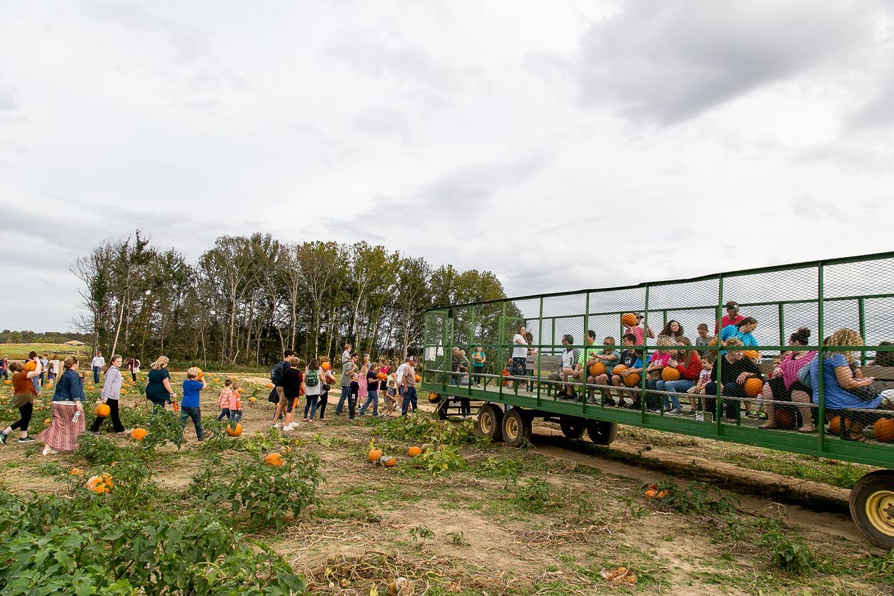 Field Trips | Lyon Family Farms