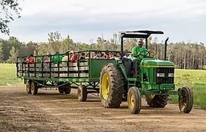 13_original Green tractor pulling a wagon with people on a dirt path beside a field.