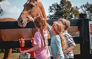 7_original Three children petting a brown horse over a fence on a sunny day.