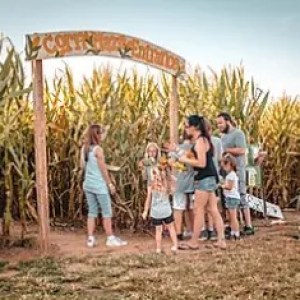 Group of people entering a corn maze through a wooden archway.