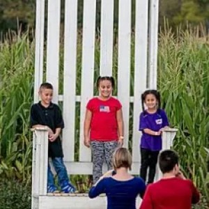 Three children standing on a giant wooden chair in a cornfield.