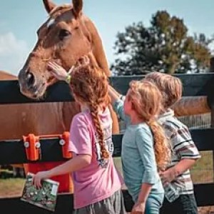 Three children petting a horse over a black fence on a sunny day.