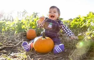 u-pick-pumpkins_original (1) Smiling baby in overalls sitting in a pumpkin patch with sunlight.